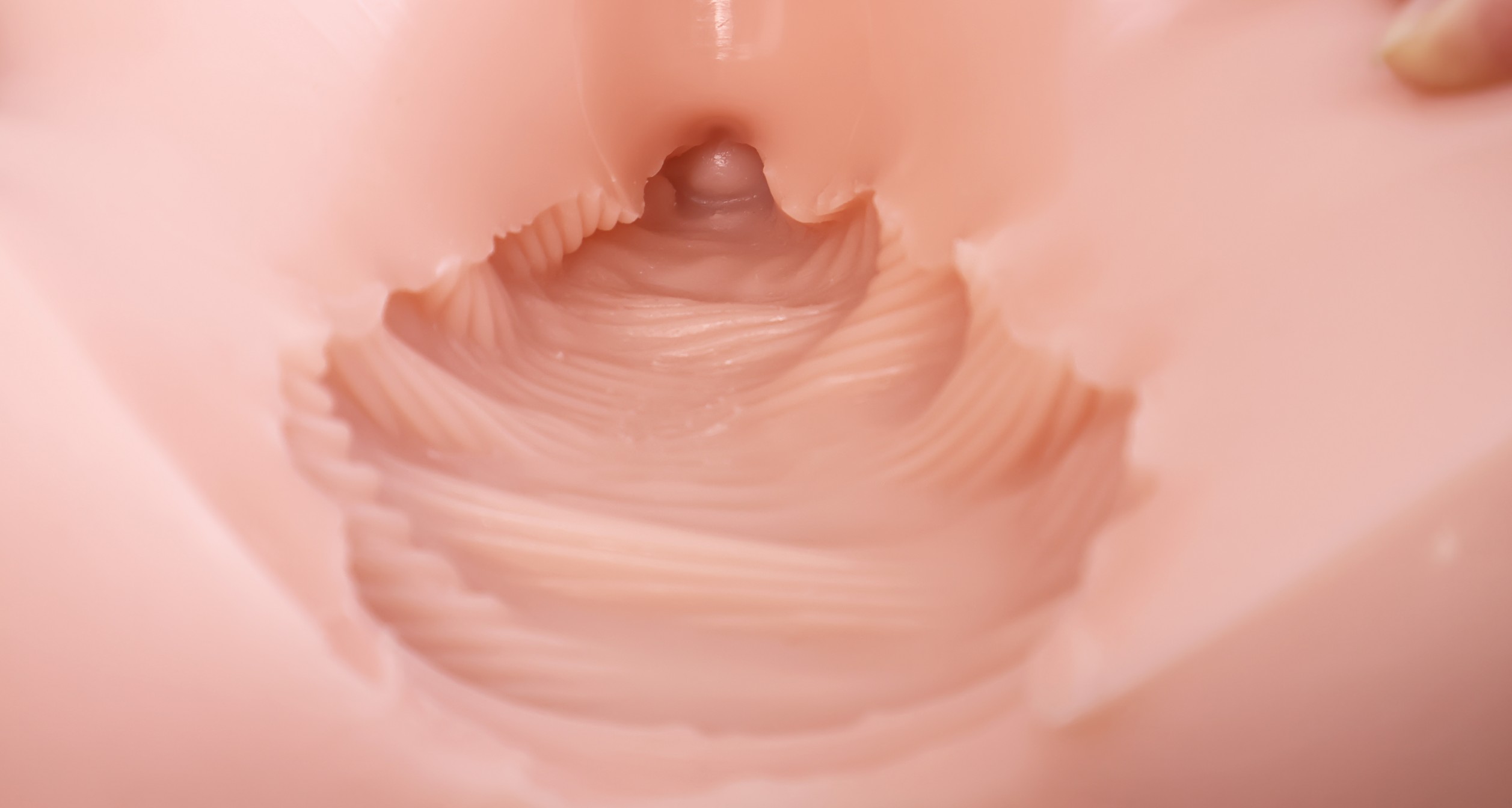 GOSE——“美臀殿堂”评测！即使是“殿堂”级的换穴炮架臀，你会真的选择使用吗？（上）