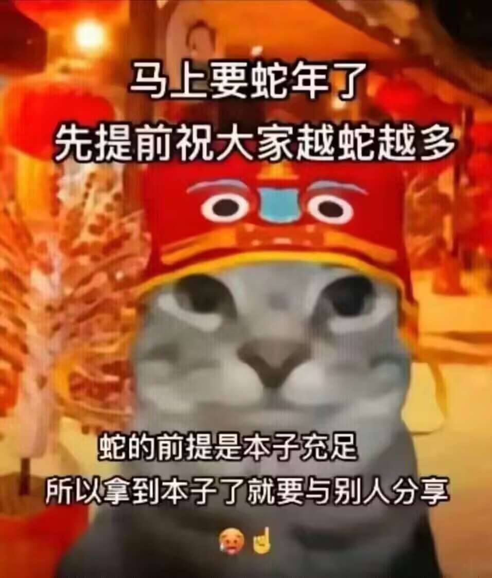 2024年终（至12月31日）评测综合排名！又是冲昏过去的一年，寒假撸管助手终极推荐！