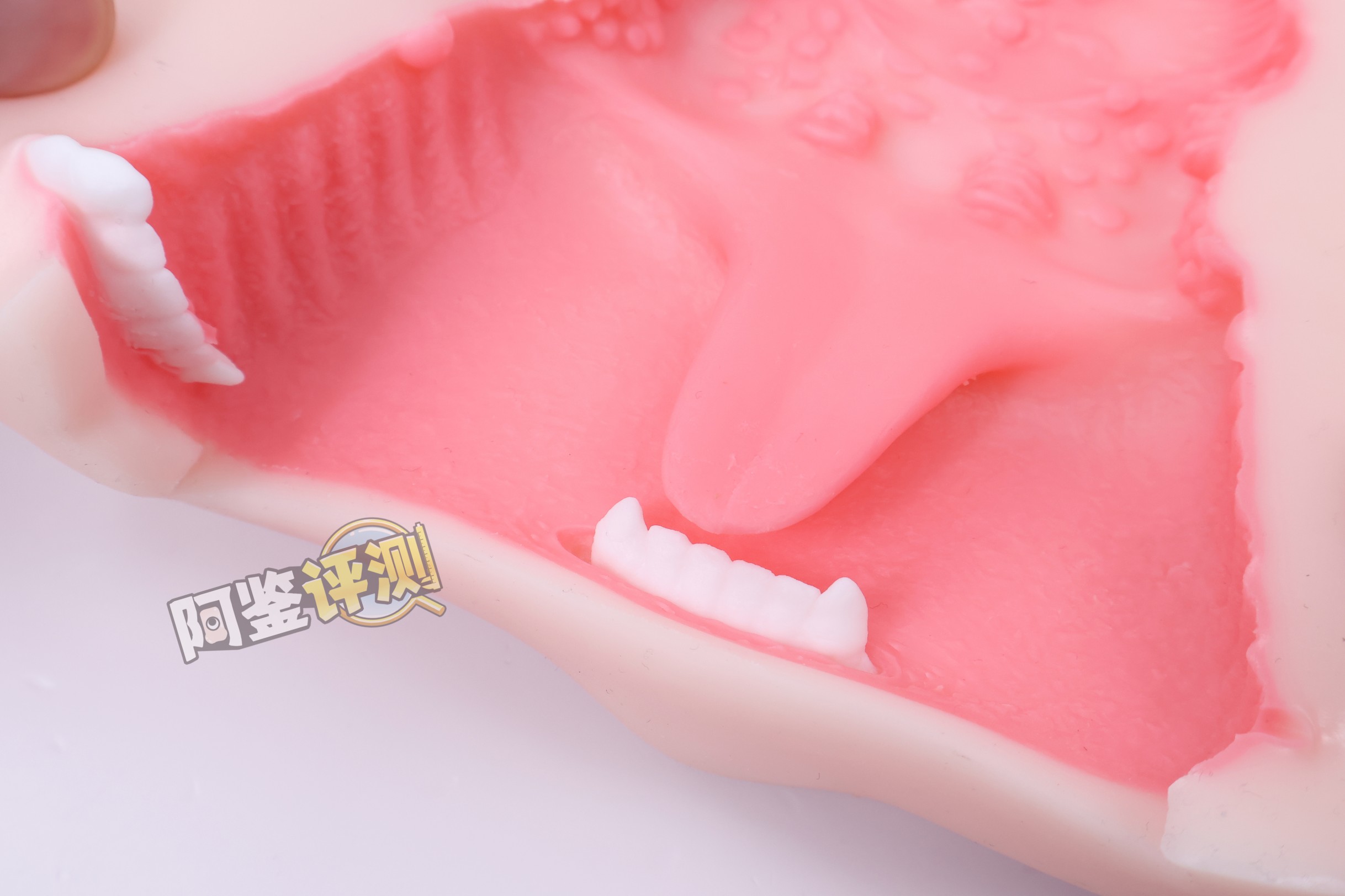 YUU——“元气猫娘”评测！二次元“纸片人”口交飞机杯，只有一个角度的猫娘造型