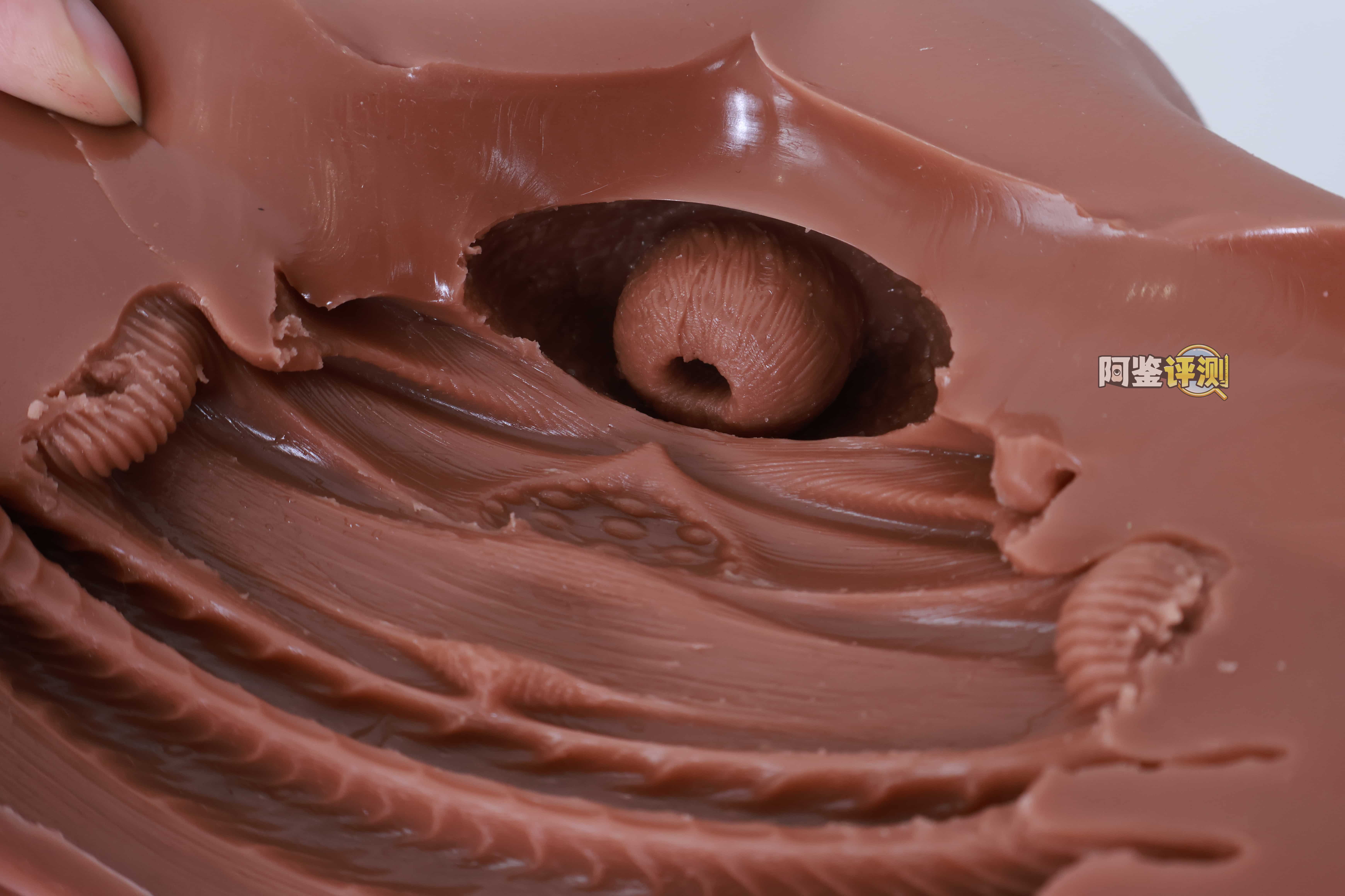 COC——“可可狼姬”评测!褐色黑皮的“成熟型”小屁股倒模,通道的复杂度和姿势兼容性都挺不错