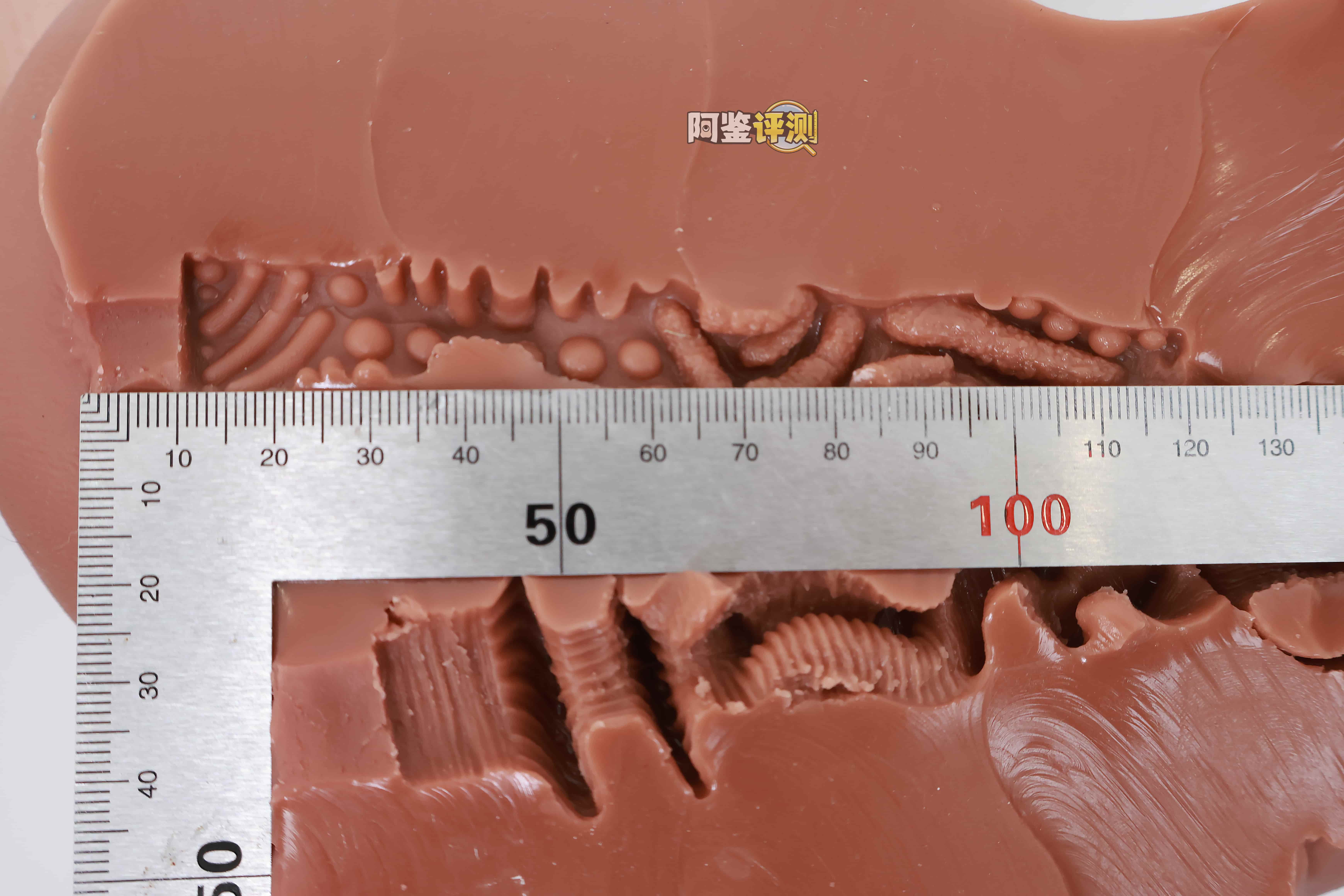 COC——“可可狼姬”评测!褐色黑皮的“成熟型”小屁股倒模,通道的复杂度和姿势兼容性都挺不错