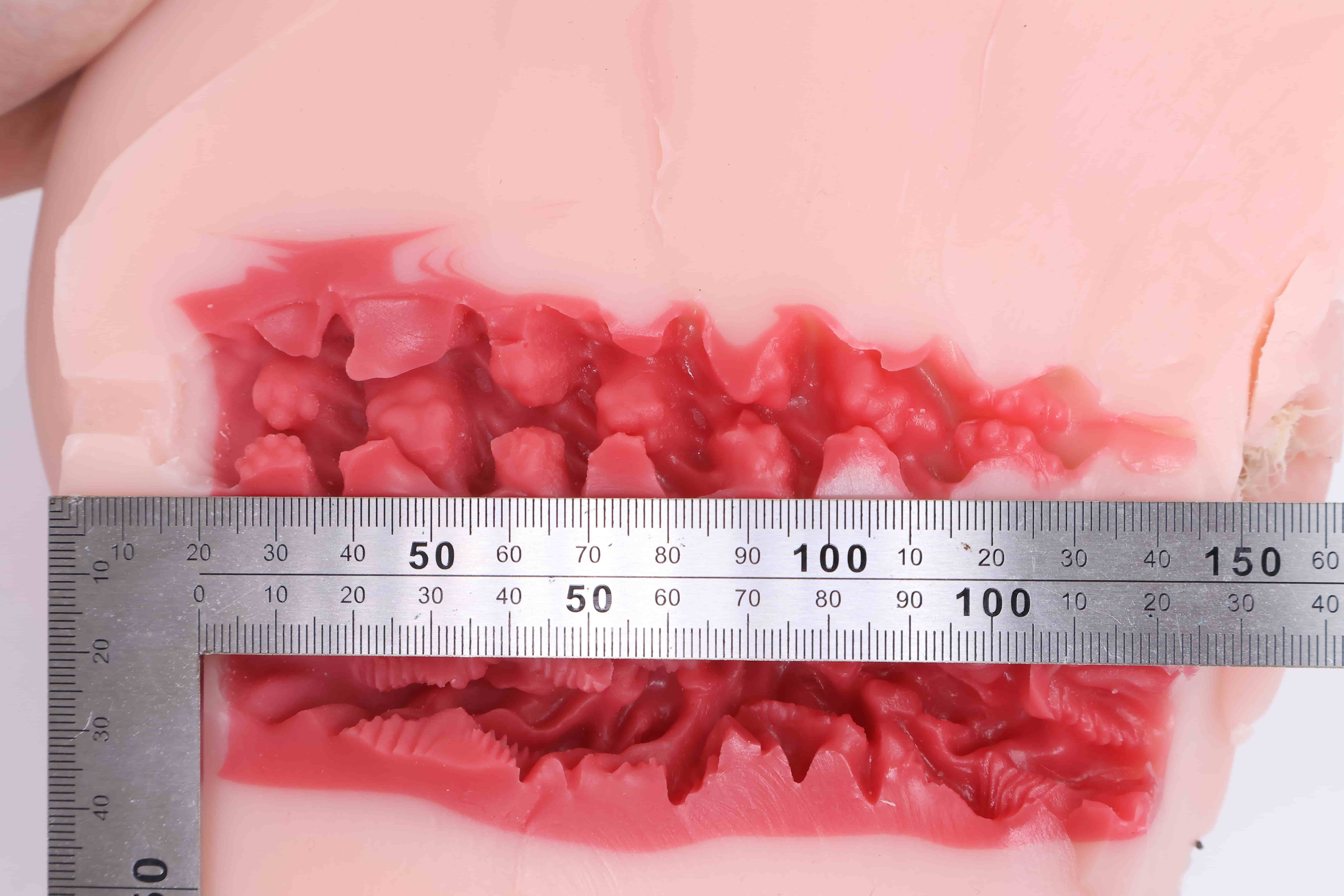 GOSE——"小鬼魔皇SP"评测!通道升级,猎奇加倍?特别版的花哨结构真的更爽了吗?